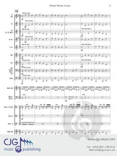 Winter Winds von Randall D. Standridge 