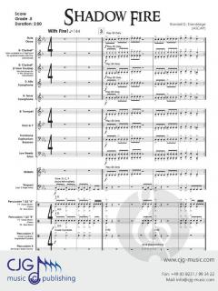 Shadow Fire von Randall D. Standridge 