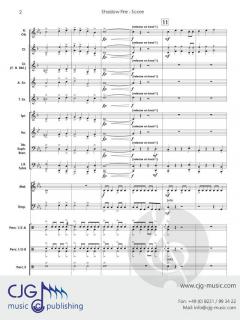 Shadow Fire von Randall D. Standridge 