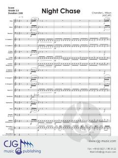 Night Chase von Chandler L. Wilson 