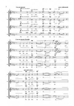 Du var vinden von Roderick Williams 