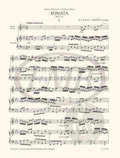 Triosonate BWV 525 von Johann Sebastian Bach 