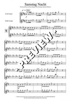 Samstag Nacht - DOWNLOAD von Bernhard Michaeli 