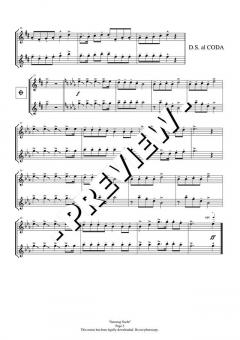 Samstag Nacht - DOWNLOAD von Bernhard Michaeli 