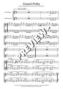 Goassl-Polka - DOWNLOAD von Wolfgang Vetter-Lohre 