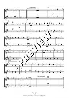 Wiener Blut von Johann Strauss (Sohn) 