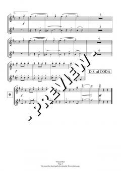 Wiener Blut von Johann Strauss (Sohn) 