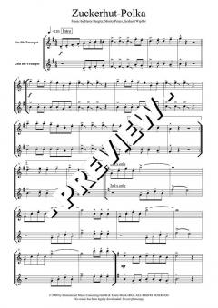 Zuckerhut-Polka - DOWNLOAD von Moritz Peters 