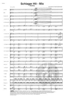Schlager Hit-Mix 
