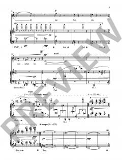 A Padmore Cycle von Thomas Larcher (Download) 