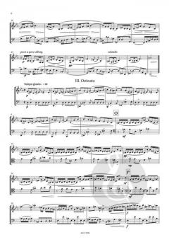 Divertimento von Zilvinas Smalys 