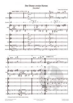 Diener zweier Herren von Michael Töpel 