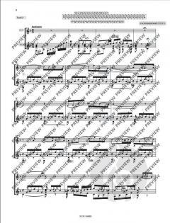 Musik  von Napoléon Coste 