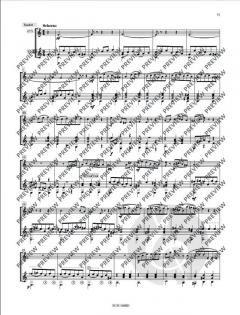 Musik  von Napoléon Coste 