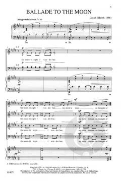 Ballade to the Moon von Daniel Elder 