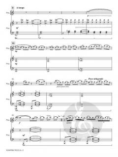 Sonatina Piccola von Jan van der Roost 