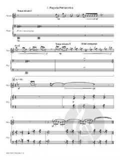 Sonatina Piccola von Jan van der Roost 