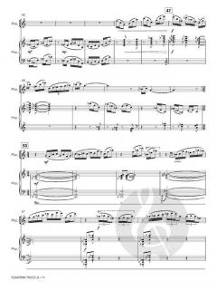 Sonatina Piccola von Jan van der Roost 