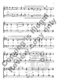 Sic luceat lux vestra von Fred Gramann 