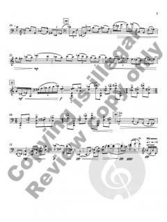 Fantasia von Allen Shawn 