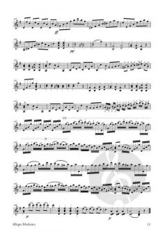 Grande Sonate pour la Guitare 