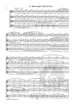 Travel diaries von Benedikt Brydern 