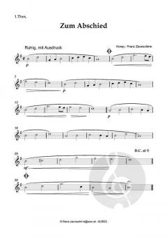 Zum Abschied von Franz Zaunschirm (Download) 