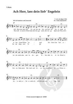 Ach, Herr, lass dein lieb´ Engelein von Johann Sebastian Bach (Download) 