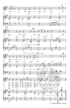 A Candle Shines von Philip M. Hayden 