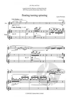 Floating turning spinning von Lynn Plowman 