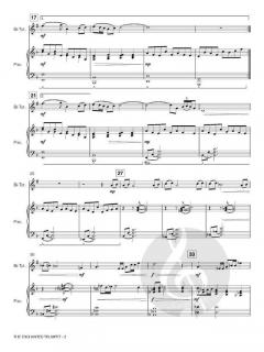 The Enchanted Trumpet von Allen Vizzutti im Alle Noten Shop kaufen