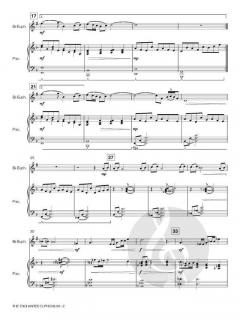 The Enchanted Euphonium von Allen Vizzutti 