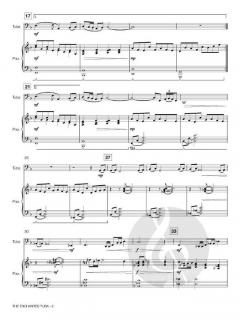 The Enchanted Tuba von Allen Vizzutti im Alle Noten Shop kaufen