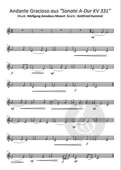 Beethöflich, Mozärtlich & Haydn Spaß dabei 