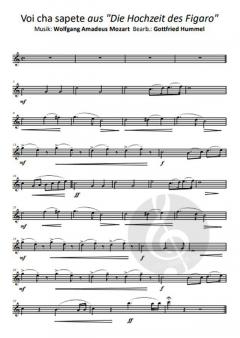 Beethöflich, Mozärtlich & Haydn Spaß dabei 