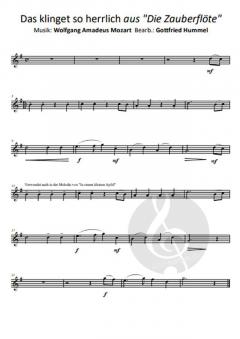 Beethöflich, Mozärtlich & Haydn Spaß dabei 