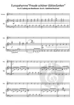 Beethöflich, Mozärtlich & Haydn Spaß dabei 