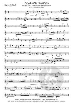 Peace and Freedom von Gottfried Hummel 