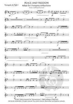 Peace and Freedom von Gottfried Hummel 