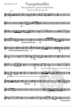 Trompetenblitz von Gottfried Hummel 