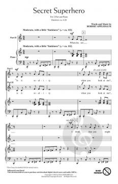 Secret Superhero von Robert Applebaum 