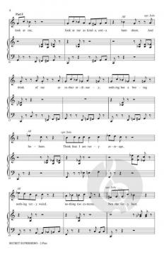 Secret Superhero von Robert Applebaum 