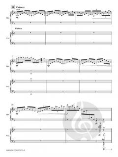 Marimba Concerto von Satoshi Yagisawa 