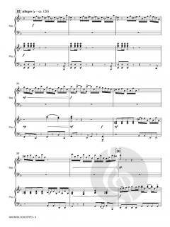 Marimba Concerto von Satoshi Yagisawa 