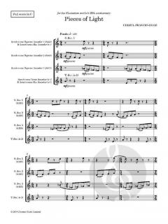 Pieces of Light von Cheryl Frances-Hoad 