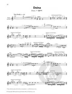 Klezmer Fiddler - Complete Edition 