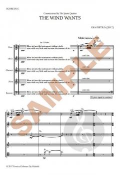 The Wind Wants  von Esa Pietilä 