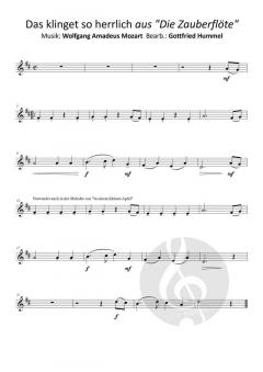 Beethöflich, Mozärtlich und einen Haydn Spaß dabei 