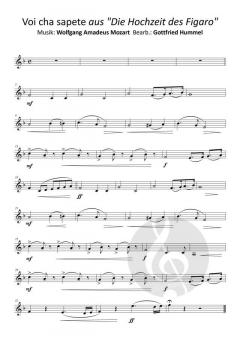 Beethöflich, Mozärtlich und einen Haydn Spaß dabei 