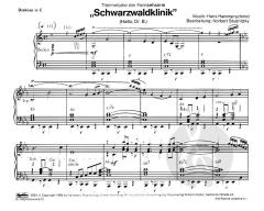 Schwarzwaldklinik (Hallo, Dr.Brinkmann) (Hans Hammerschmid) 